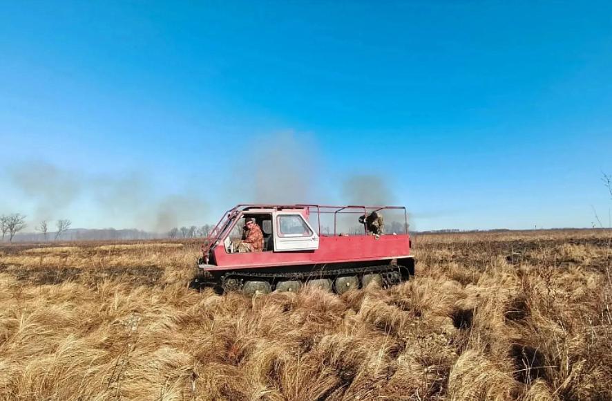 Больше тысячи гектаров за неделю: природные пожары по вине человека фиксируются Приморье